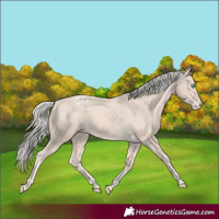 Horse Color:Cremello Varnish  and Cremello Varnish 