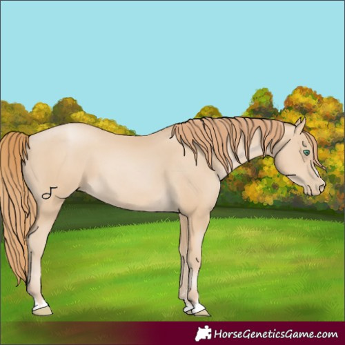 Horse Color:Smoky Black Pearl 