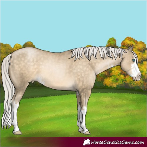 Horse Color:White Spotted Silver Buckskin Pearl Splash