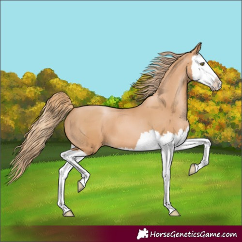 Horse Color:Chestnut Pearl Splash