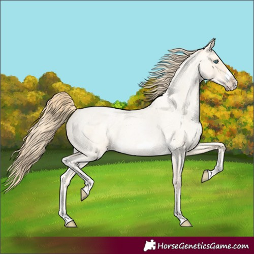 Horse Color:Buckskin Roan Pearl Splash Frame 