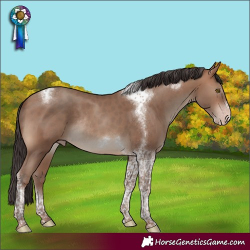Horse Color:Unknown 