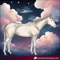 Horse Color:Silver Buckskin Roan Splash