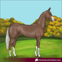 Horse Color:Silver Black