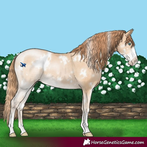 Horse Color:White Spotted Smoky Black Pearl Sabino 