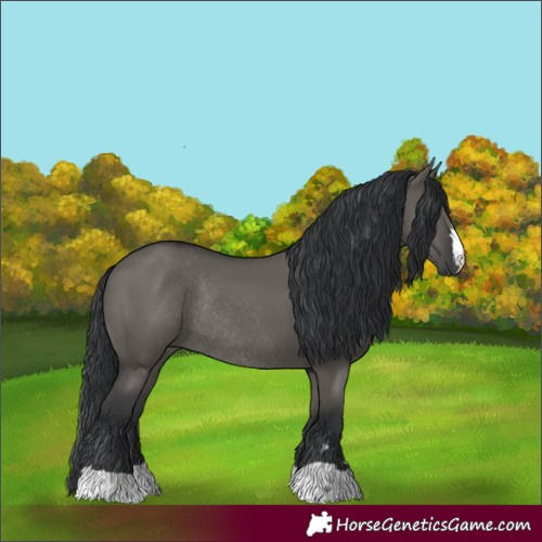 Horse Color:Grullo Rabicano