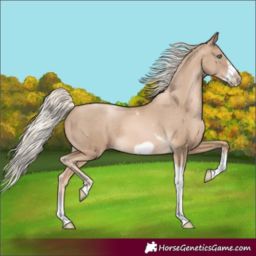 Horse Color:Chocolate Palomino Pearl Tobiano Frame