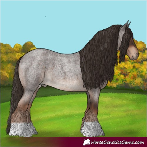 Horse Color:Liver Red Roan 