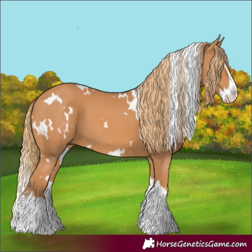 Horse Color:White Spotted Chestnut Splash 