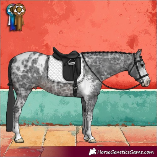 Horse Color:Brown Ice Sabino Appaloosa Rabicano 