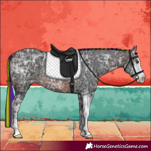 Horse Color:Painted Brown Ice Sabino Rabicano