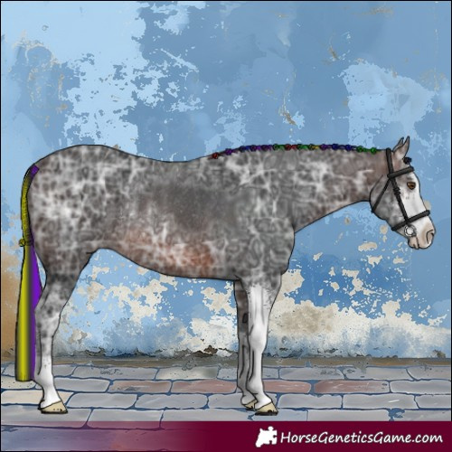 Horse Color:Painted Brown Ice Sabino Rabicano 