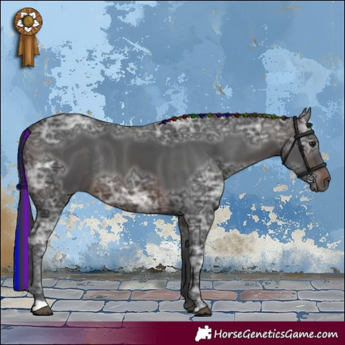 Horse Color:Painted Brown Ice Rabicano 