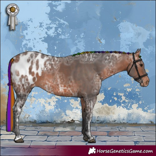 Horse Color:Painted Bay Ice Appaloosa Rabicano 