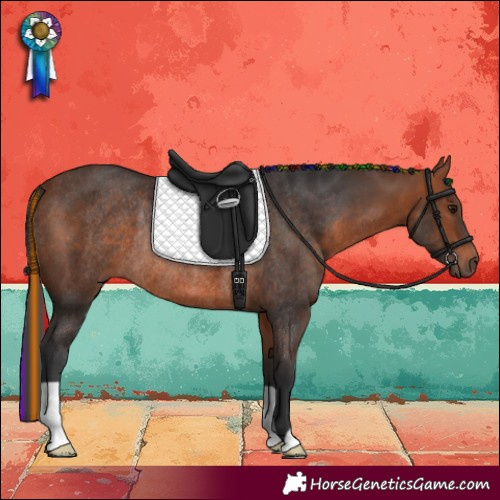 Horse Color:Painted Bay Rabicano 