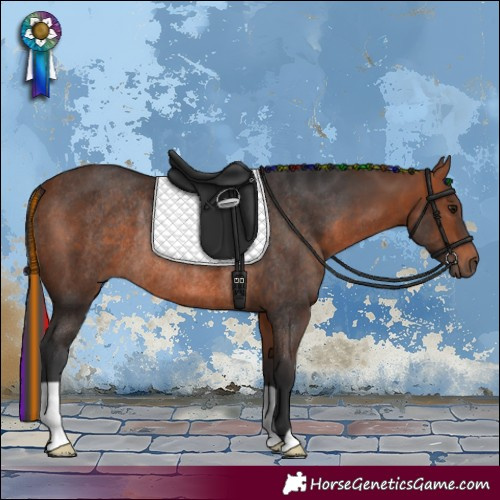Horse Color:Painted Bay Rabicano 