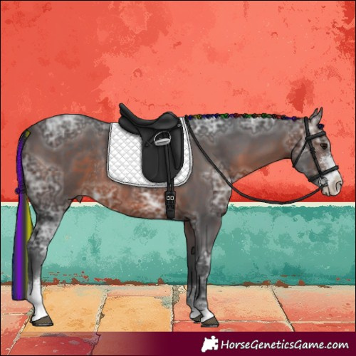 Horse Color:Painted Brown Ice Sabino Rabicano 