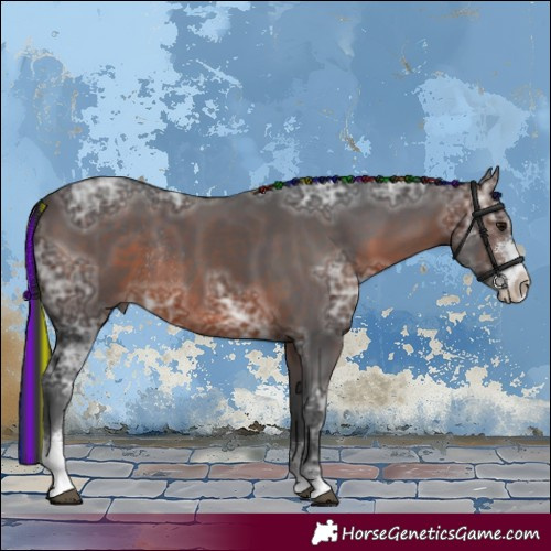 Horse Color:Painted Brown Ice Sabino Rabicano 