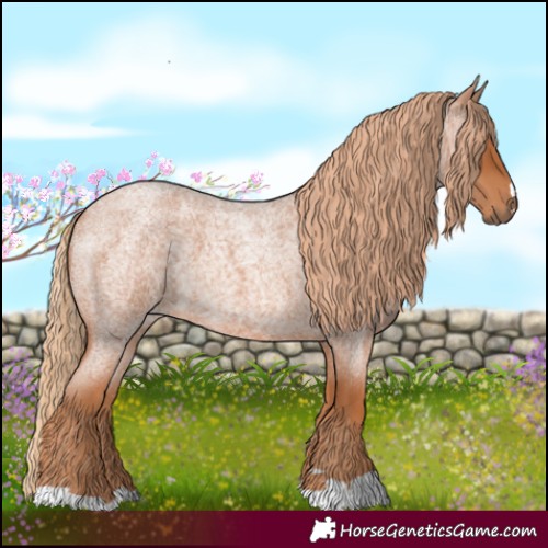 Horse Color:Red Roan 