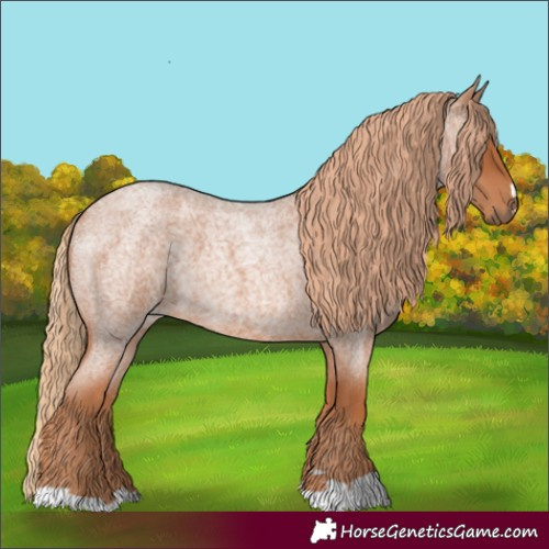 Horse Color:Red Roan 