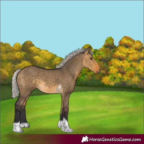 Horse Color:Silver Buckskin Dun Tobiano