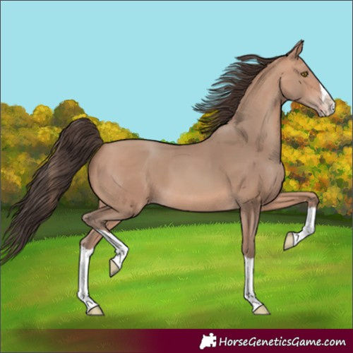 Horse Color:Amber Champagne Splash 