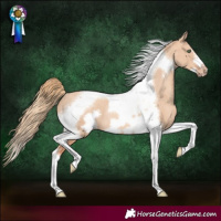 Horse Color:Gold Champagne Dun Tobiano Frame Varnish Rabicano 