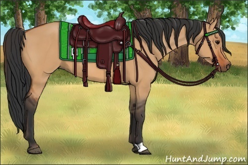 Horse Color:Bay Dun