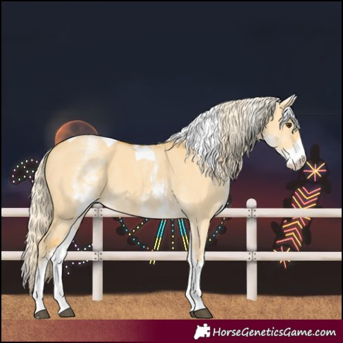 Horse Color:White Spotted Palomino Dun Tobiano