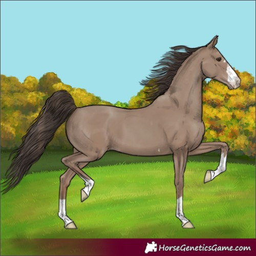 Horse Color:Classic Champagne