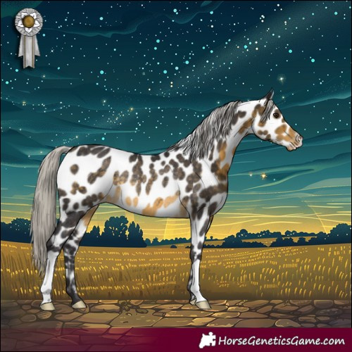 Horse Color:Silver Buckskin Appaloosa Rabicano 
