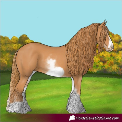 Horse Color:White Spotted Chestnut Frame 