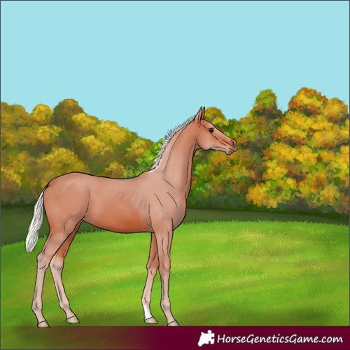 Horse Color:Silver Brown