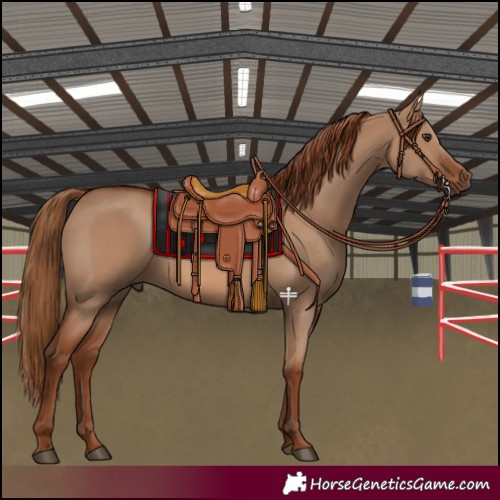 Horse Color:Red Dun