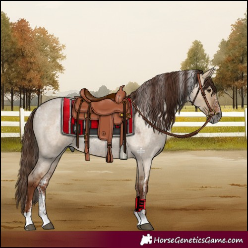 Horse Color:Powder White Gray Red Dun Roan 