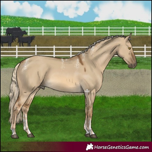 Horse Color:Powder White Chocolate Palomino Dun