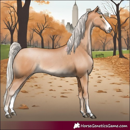 Horse Color:Silver Brown Pearl Sabino Appaloosa