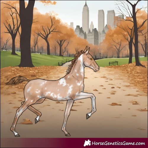 Horse Color:White Spotted Bay Pearl