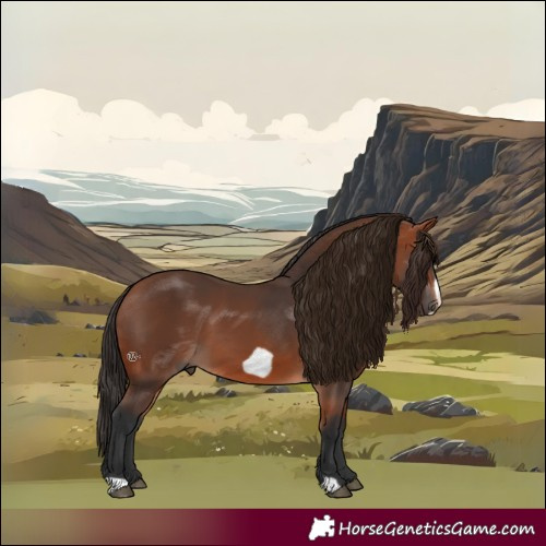 Horse Color:Bay Frame 
