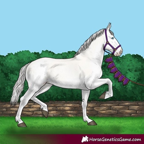 Horse Color:Silver Buckskin Pearl Dun Splash 