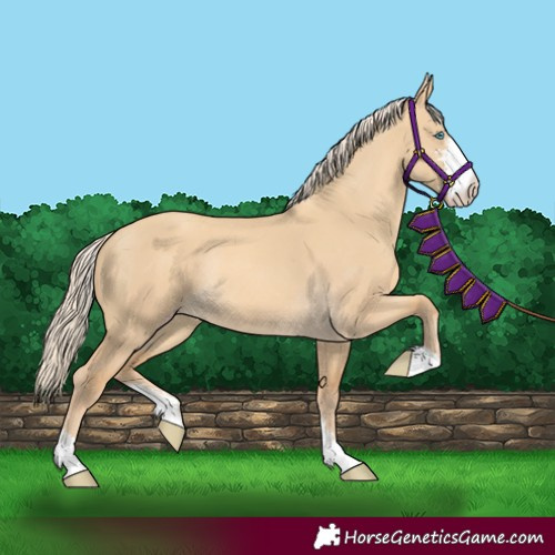 Horse Color:Gold Cream Champagne Dun Sabino Rabicano 