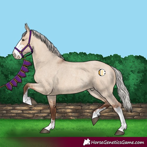 Horse Color:Silver Bay Roan Dun Sabino