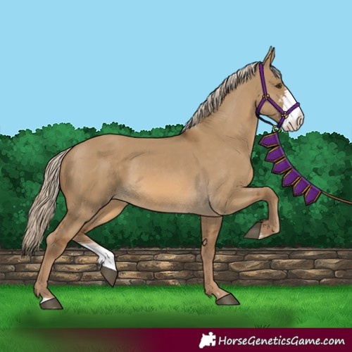 Horse Color:Chocolate Palomino Dun Sabino