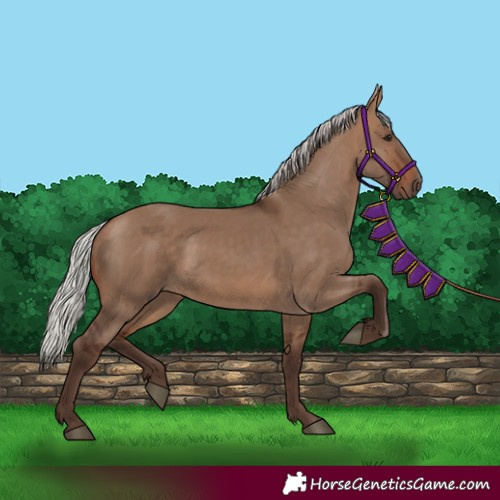 Horse Color:Silver Brown Dun 