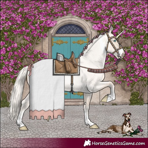 Horse Color:Gold Cream Champagne Roan Pearl Dun Sabino Rabicano 