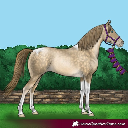 Horse Color:Buckskin Pearl Tobiano 