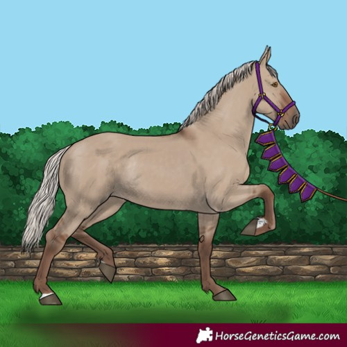 Horse Color:Silver Grullo Rabicano 