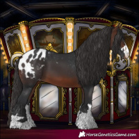 Horse Color:Brown Blanket 