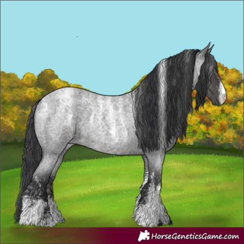 Horse Color:Powder White Blue Roan 