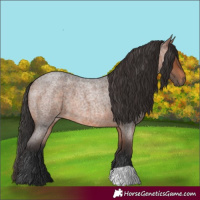 Horse Color:Brown Roan 